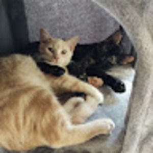 Meet your Posher, Kathryn